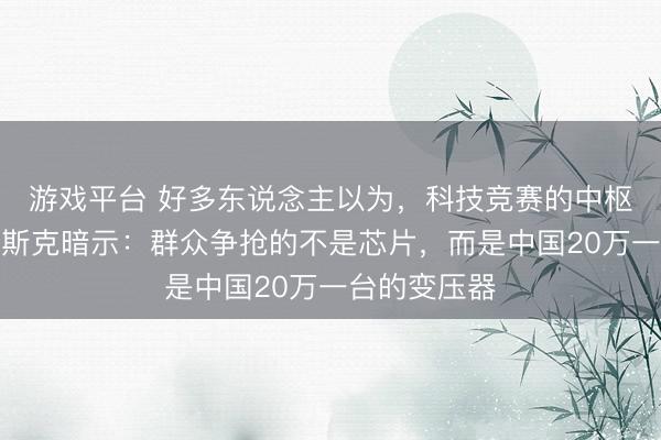 游戏平台 好多东说念主以为，科技竞赛的中枢是芯片，马斯克暗示：群众争抢的不是芯片，而是中国20万一台的变压器