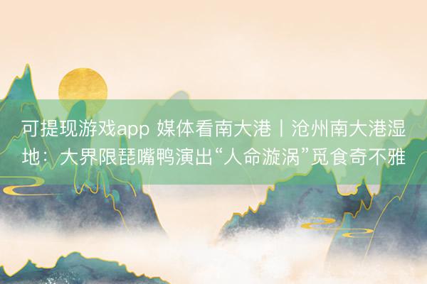 可提现游戏app 媒体看南大港丨沧州南大港湿地：大界限琵嘴鸭演出“人命漩涡”觅食奇不雅
