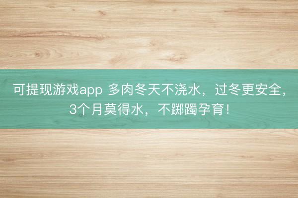 可提现游戏app 多肉冬天不浇水，过冬更安全，3个月莫得水，不踯躅孕育！