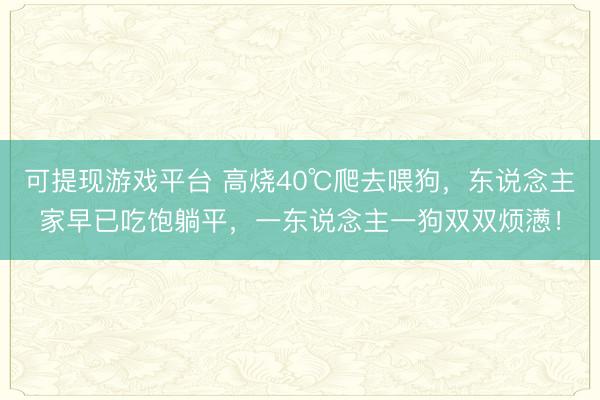 可提现游戏平台 高烧40℃爬去喂狗，东说念主家早已吃饱躺平，一东说念主一狗双双烦懑！