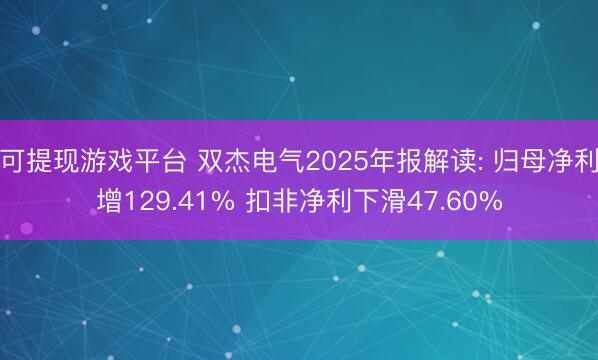 可提现游戏平台 双杰电气2025年报解读: 归母净利增129.41% 扣非净利下滑47.60%