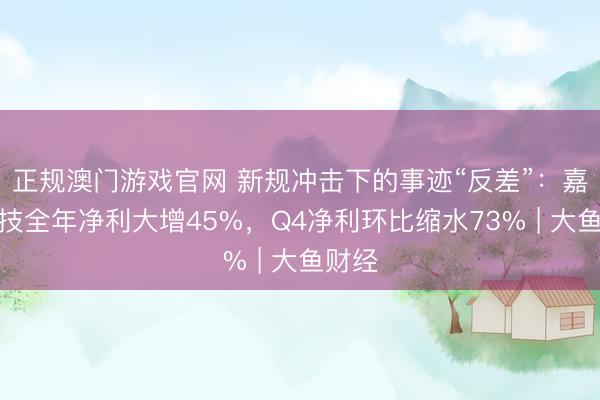 正规澳门游戏官网 新规冲击下的事迹“反差”:嘉银科技全年净利大增45%,Q4净利环比缩水73% | 大鱼财经