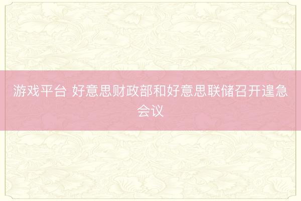 游戏平台 好意思财政部和好意思联储召开遑急会议