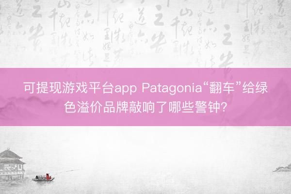 可提现游戏平台app Patagonia“翻车”给绿色溢价品牌敲响了哪些警钟？