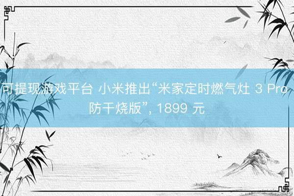 可提现游戏平台 小米推出“米家定时燃气灶 3 Pro 防干烧版”， 1899 元