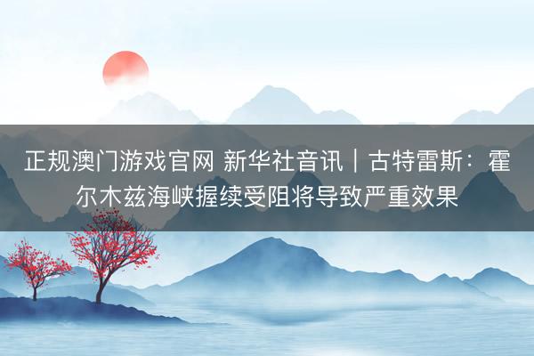 正规澳门游戏官网 新华社音讯｜古特雷斯：霍尔木兹海峡握续受阻将导致严重效果