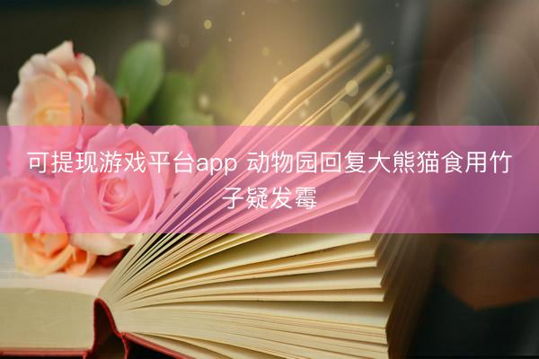 可提现游戏平台app 动物园回复大熊猫食用竹子疑发霉