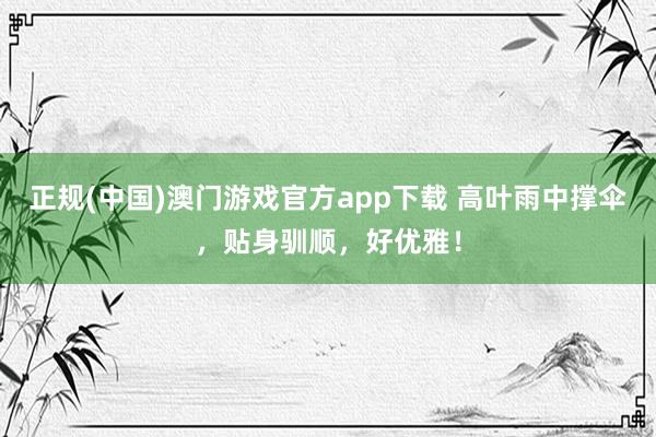 正规(中国)澳门游戏官方app下载 高叶雨中撑伞，贴身驯顺，好优雅！
