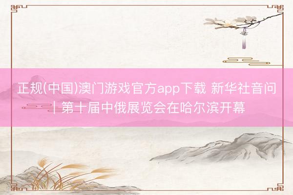 正规(中国)澳门游戏官方app下载 新华社音问｜第十届中俄展览会在哈尔滨开幕