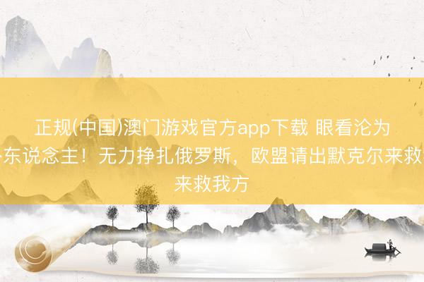 正规(中国)澳门游戏官方app下载 眼看沦为局外东说念主！无力挣扎俄罗斯，欧盟请出默克尔来救我方