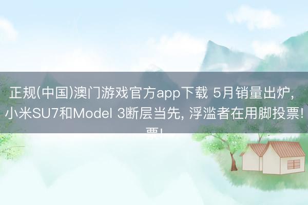 正规(中国)澳门游戏官方app下载 5月销量出炉， 小米SU7和Model 3断层当先， 浮滥者在用脚投票!