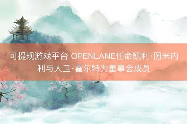 可提现游戏平台 OPENLANE任命凯利·图米内利与大卫·霍尔特为董事会成员