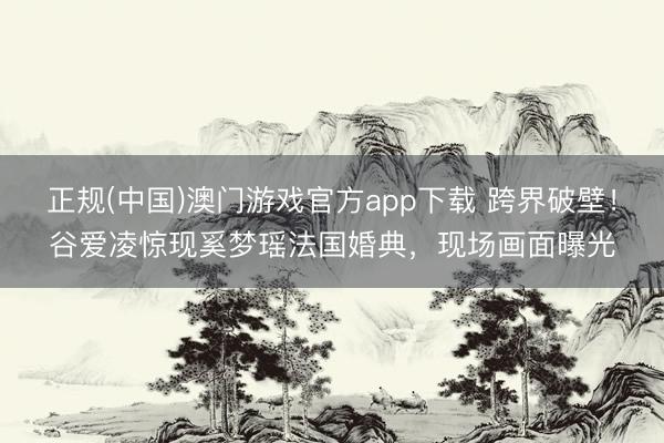 正规(中国)澳门游戏官方app下载 跨界破壁！谷爱凌惊现奚梦瑶法国婚典，现场画面曝光