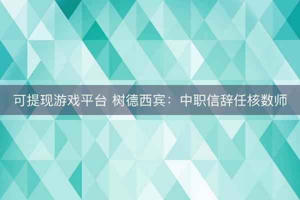 可提现游戏平台 树德西宾：中职信辞任核数师