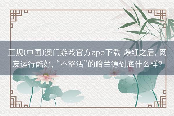 正规(中国)澳门游戏官方app下载 爆红之后， 网友运行酷好， “不整活”的哈兰德到底什么样?