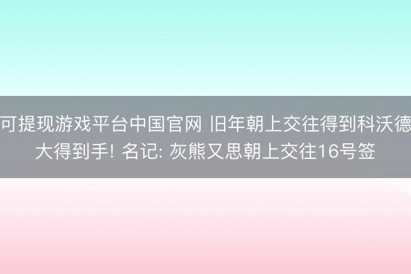 可提现游戏平台中国官网 旧年朝上交往得到科沃德大得到手! 名记: 灰熊又思朝上交往16号签